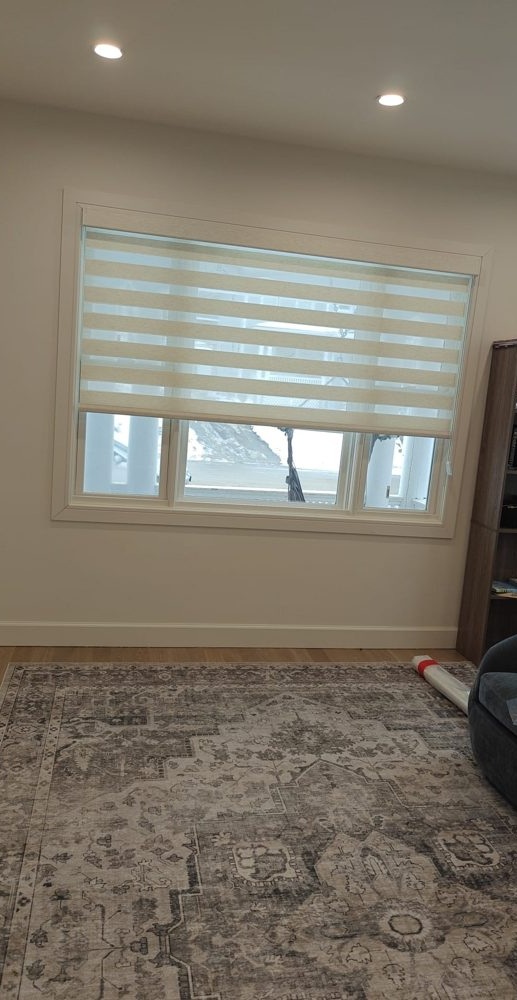 Zebra shade above a patterned rug