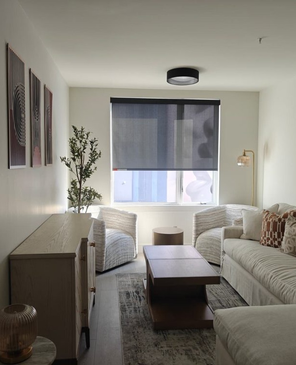 Roller shade in a sitting room